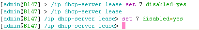 /ip dhcp-server lease